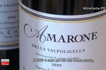 "Amarone TV" - Azienda Tenuta Chiccheri - Vini -  "Italian Wine" - by Stile Ital