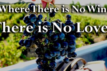 My Tribute to Vintage 2018 🇫🇷🍷🇮🇹 | Wine Harvest Season in France & Italy