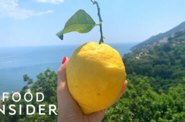 How Limoncello Is Made Using Huge Amalfi Coast Lemons | Regional Eats