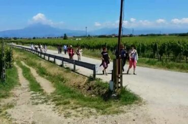 Wine Tour Italy: Lugana on the Garda Lake