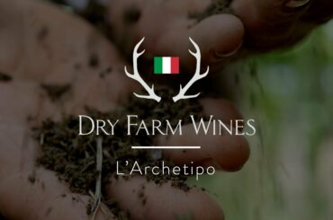 Dry Farm Wines Visits L'Archetipo in Italy