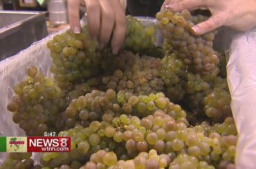 Family-owned Wine Press teaches art of wine making