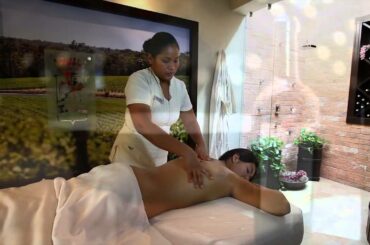 Italy Vendimia Wine Experience