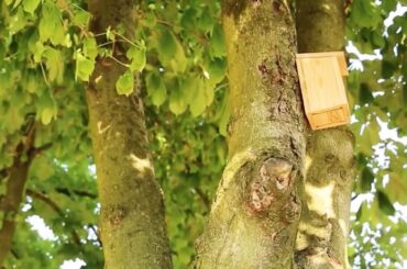 A Passion for Wine and Sustainable Farming Practices in Italy