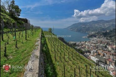54.4-ACRE ORGANIC VINEYARDS AND WINERY FOR SALE AMALFI COAST, ITALY
