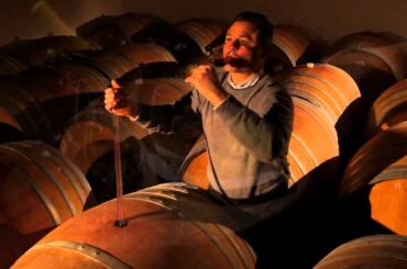 The world of wines in Friuli Venezia Giulia - Italy.mp4