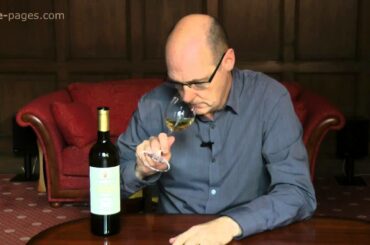 Guerrieri Rizzardi, Costeggiola Soave Classico 2011, Italy, wine review