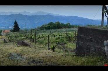 ITALY - SICILY - TAORMINA, CASTELMOLA AND WINERY ON SLOPES OF ETNA