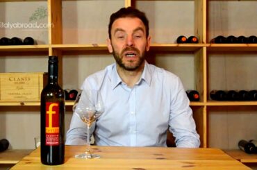 Andrea's Wine Conversations - Negroamaro