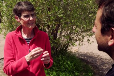 Oklahoma Gardening goes to Italy: Olive Oil