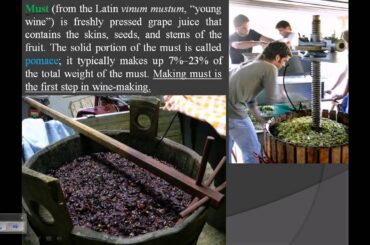 Wine production (process of wine wine making)