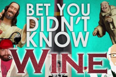 9 Wine Facts You Didn't Know | Amazing Video Facts About Wine
