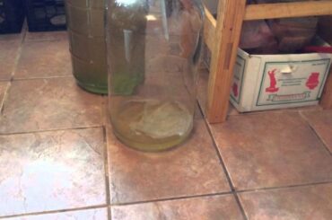 How to make homemade white wine from the grapes to the bottles Part 3