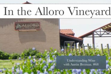 In the Alloro Vineyard with Owner/Winegrower Dave Nemarnik