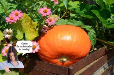 Albergo l'Ostelliere - Villa Sparina Resort - Italy - Gavi