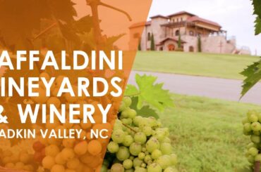 Raffaldini Vineyards & Winery | North Carolina Weekend | UNC-TV