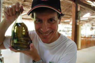 Drinking Dead Snake and Scorpion Wine-Mekong Delta, Vietnam