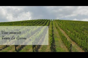 When wine turns from a dream into reality - Tenuta la Riserva