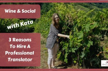 3 Reasons To Hire A Professional (Wine) Translator