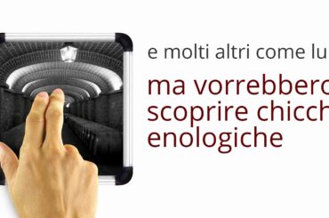 Sommelier Wine Box: il nuovo modo di scoprire il vino