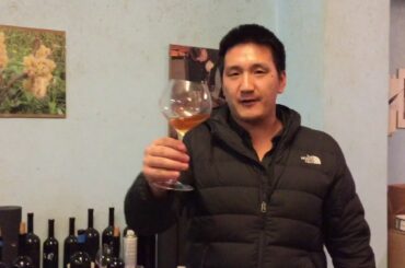 Italian Wine: Getting Lost in Time at Radikon Winery