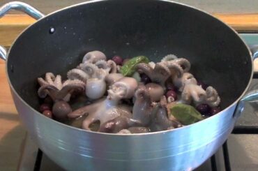 Baby Octopus Tomato Sauce Recipe
