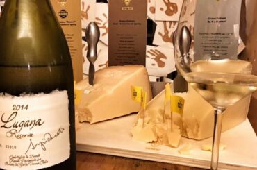 Zenato Winery, Fine Valpolicella Italian Wine, & Grana Padano Cheese