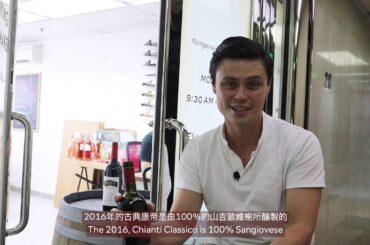 Tasting notes - Italian wine 2016 Brancaia Chianti Classico DOCG