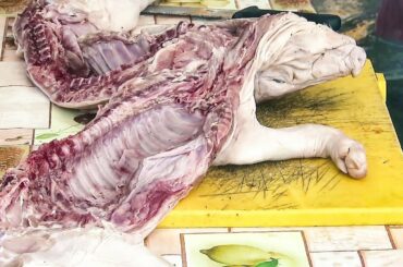 Roasted Suckling Pig of Italy. Cooking and Roasting. Italian Street Food