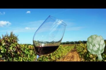 What is Puglian Wine? | Potluck with Ali