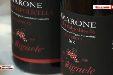 "Amarone" Tv  - Azienda  "Le  Bignele" -   "Italian Wine"  by "Confraternita