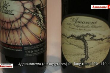 "Amarone" Tv -  "Terre di Leone" -  "Italian Wine" -  by "Confraternita Amarone"