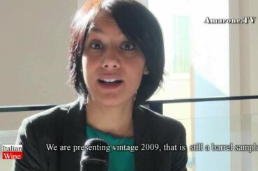 "Amarone TV" - Azienda "Sartori" - Vini -  "Italian Wine" - by Stile I