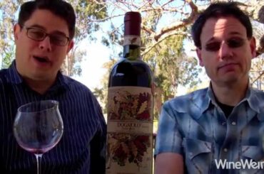 2013 Carpineto Dogajolo Toscana IGT Lifted, Structured & Affordable Italian Red Wine From Tuscany