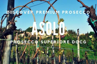 Discover Premium Prosecco from Asolo - Wine Oh TV