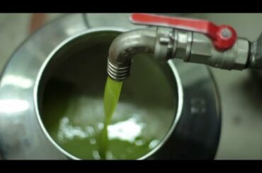 How to Taste Extra Virgin Olive Oil Cooking Italian with Joe