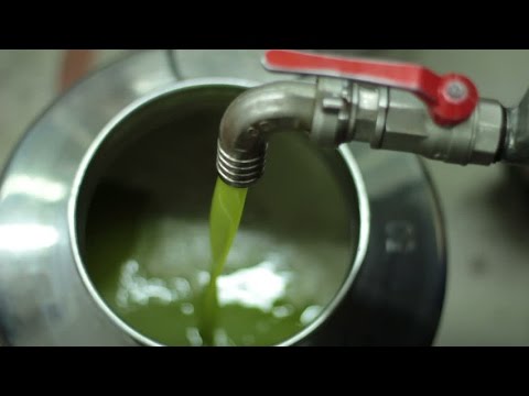 How to Taste Extra Virgin Olive Oil Cooking Italian with Joe How to Taste Extra Virgin Olive Oil Cooking Italian with Joe