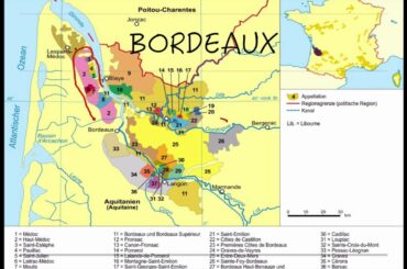 Winecast: French Wine Quality Classification