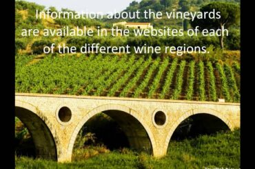 Planning the Perfect Italian Winery Tour