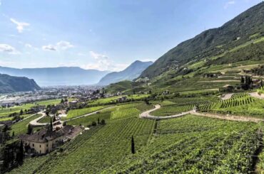 Explore Alto Adige, Italy’s High Altitude Wine Region