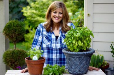 How to Prune Basil