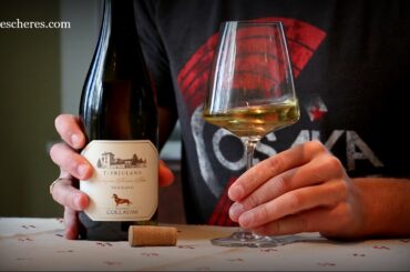Fine Italian Wine: Collavini's Friulano