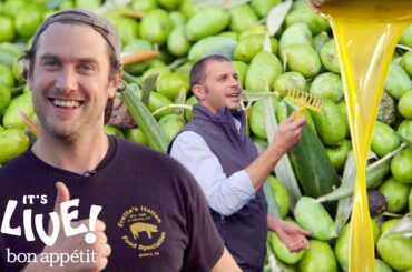 Brad Makes Olive Oil (In Italy!) | It's Alive | Bon Appétit