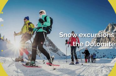 Bolzano Street Food Tour Winter Tours & Excursions