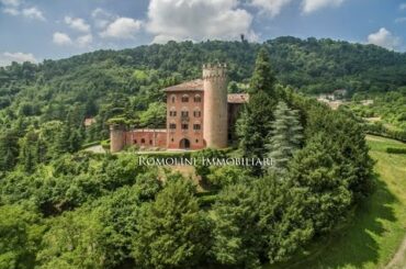 Castle for Sale in Piedmont with Wine Cellar, Vineyards Barbera and Grignolino - Ref.1321