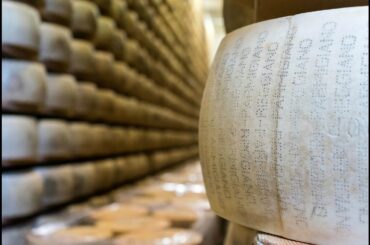 Best Food Tour in Bologna Italy: Italian Days Food Experience