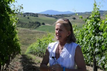 Wines of Italy: Elisabetta Gnudi Angelini, Altesino