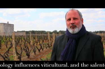 Cooking in Italy: geology and the wine of the salento