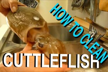 CUTTLEFISH. HOW TO CLEAN THE CUTTLEFLISH EASY AND FAST #italian #food #italianfood
