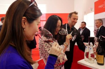 OperaWine , Finest Italian Wines: 100 Great Producers